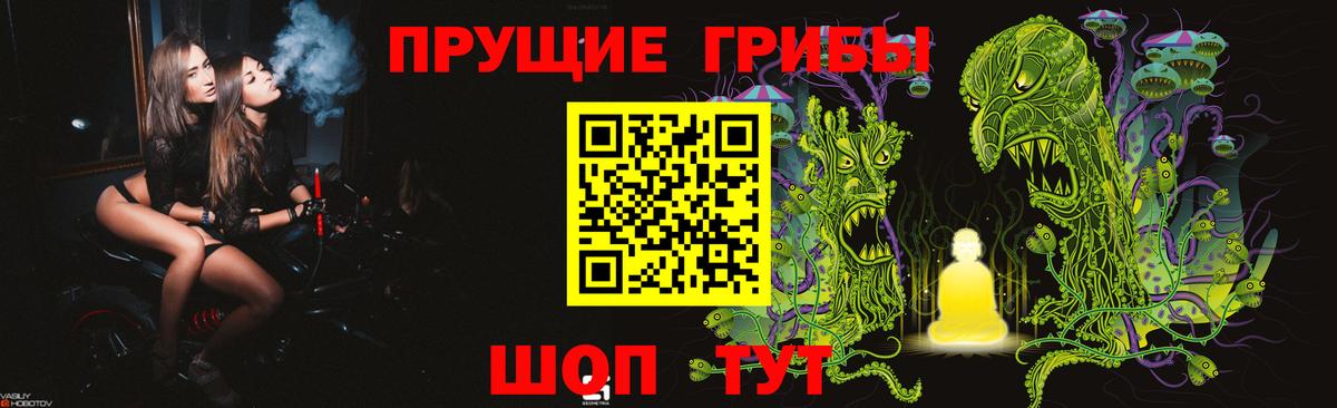 Галлюциногенные грибы GOLDEN TEACHER Камышин
